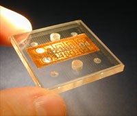 Common Microfluidic